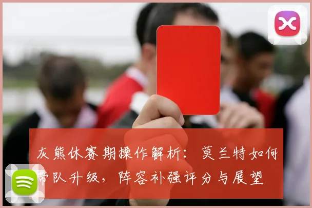 灰熊休赛期操作解析：莫兰特如何带队升级，阵容补强评分与展望